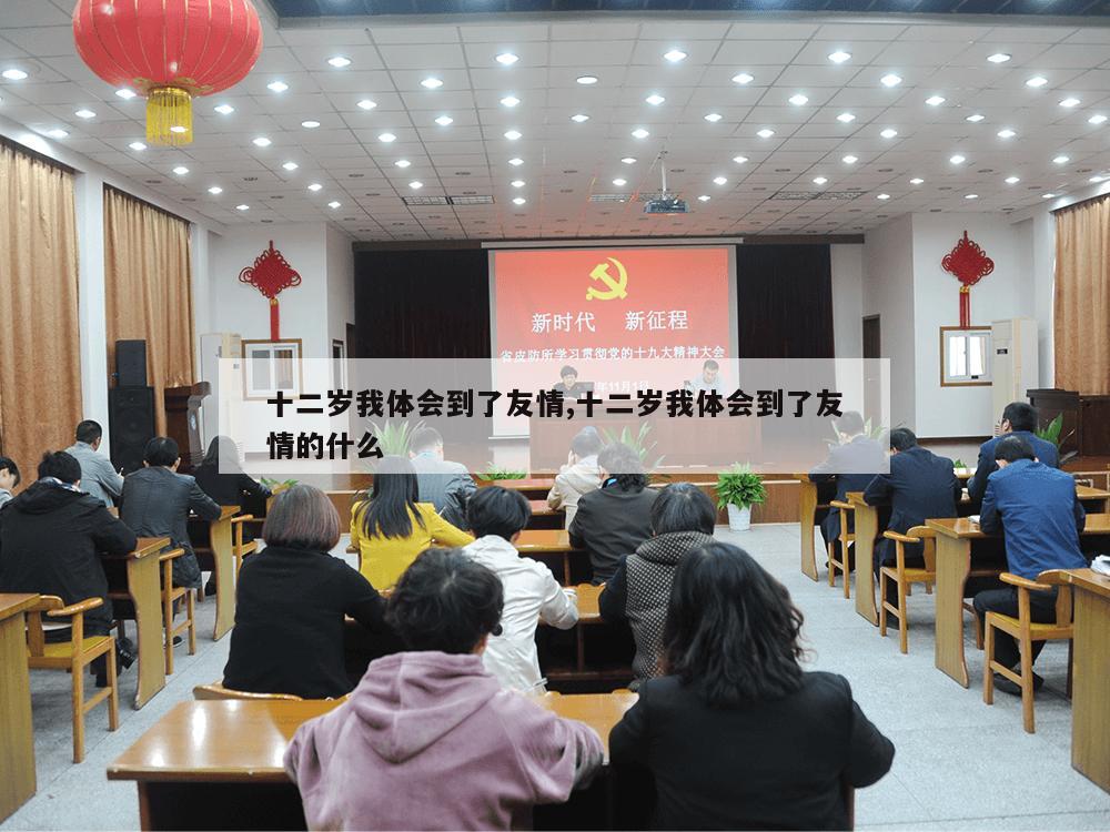 十二岁我体会到了友情,十二岁我体会到了友情的什么