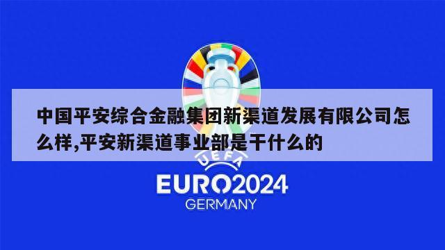 中国平安综合金融集团新渠道发展有限公司怎么样,平安新渠道事业部是干什么的