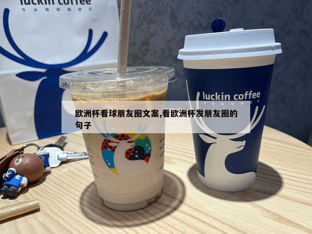 欧洲杯看球朋友圈文案,看欧洲杯发朋友圈的句子