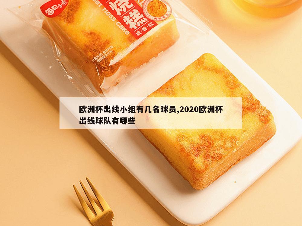 欧洲杯出线小组有几名球员,2020欧洲杯出线球队有哪些