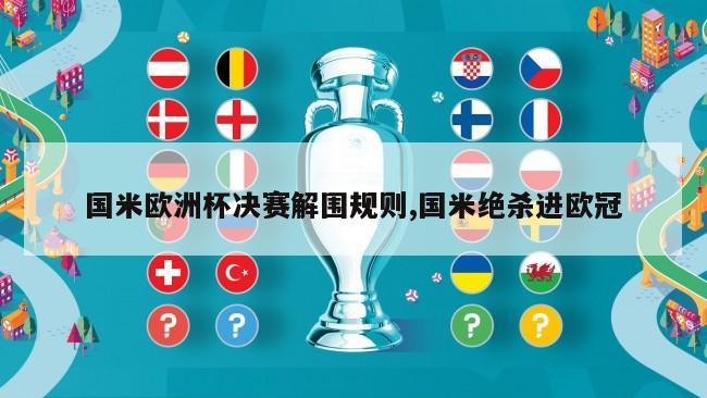 国米欧洲杯决赛解围规则,国米绝杀进欧冠