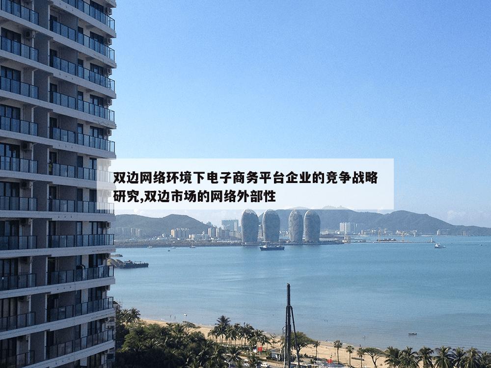 双边网络环境下电子商务平台企业的竞争战略研究,双边市场的网络外部性