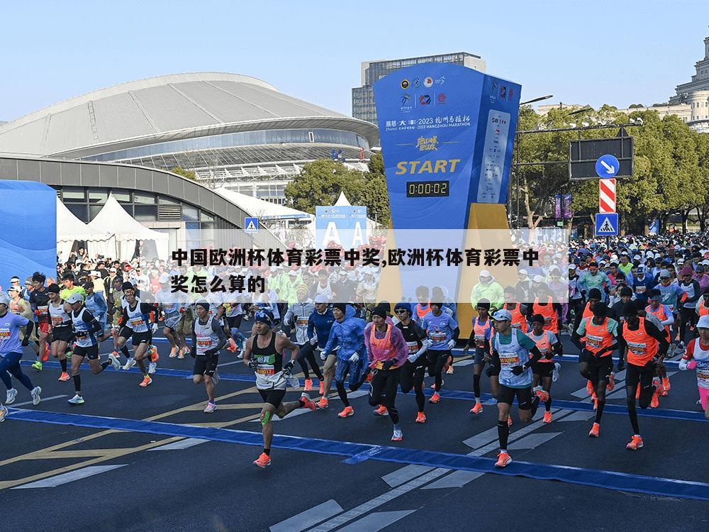 中国欧洲杯体育彩票中奖,欧洲杯体育彩票中奖怎么算的