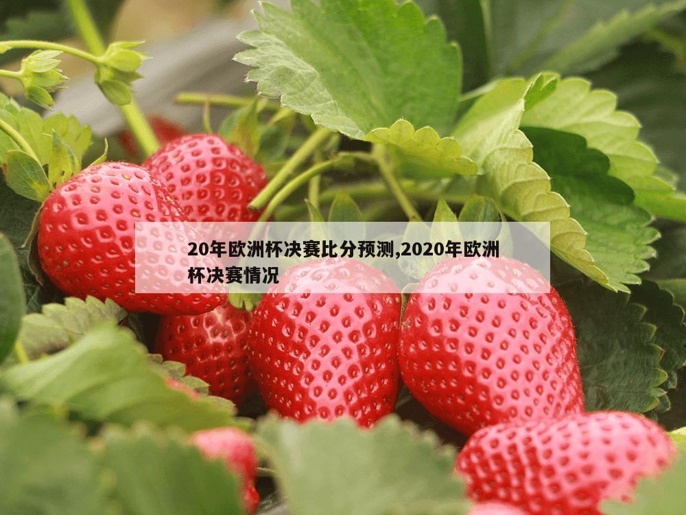 20年欧洲杯决赛比分预测,2020年欧洲杯决赛情况