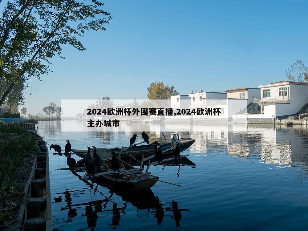 2024欧洲杯外围赛直播,2024欧洲杯主办城市