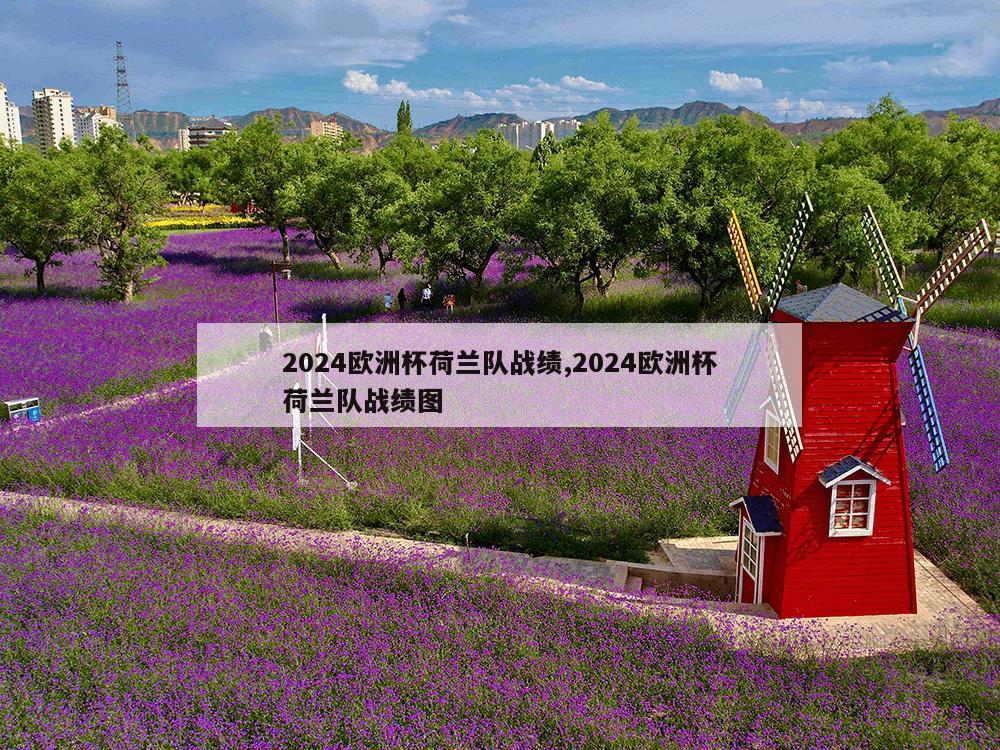 2024欧洲杯荷兰队战绩,2024欧洲杯荷兰队战绩图