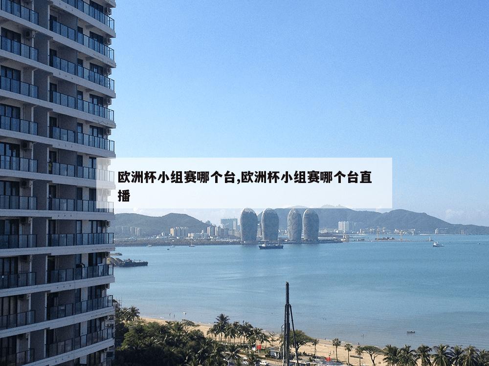 欧洲杯小组赛哪个台,欧洲杯小组赛哪个台直播